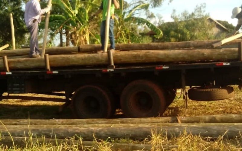 Portal Caminho das Paineiras